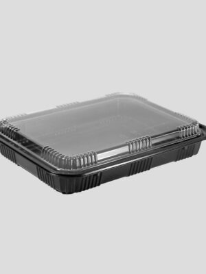 Contenedor PP 25X18