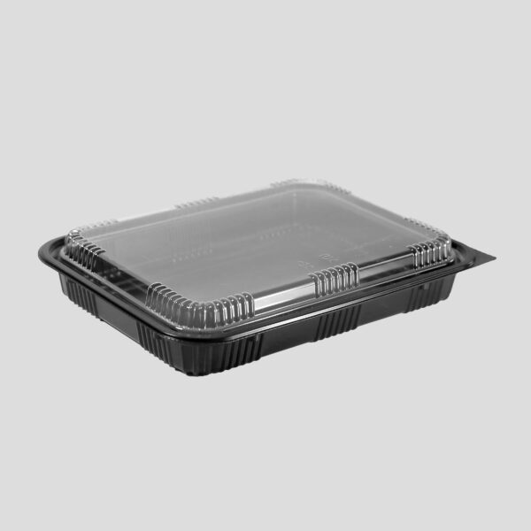 Contenedor PP 25X18