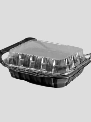 Contenedor con asa PP 24x18